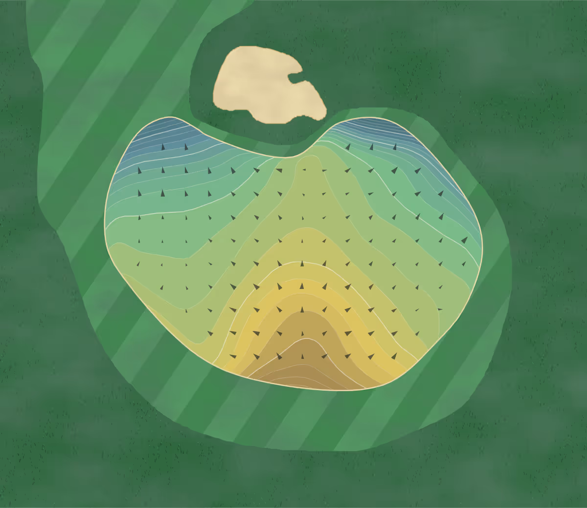 Green contour map of Buffalo Ridge in Hollister, Missouri — 324 elevation contours at a 3-inch interval with fall-line arrows, traced from 1-meter lidar
