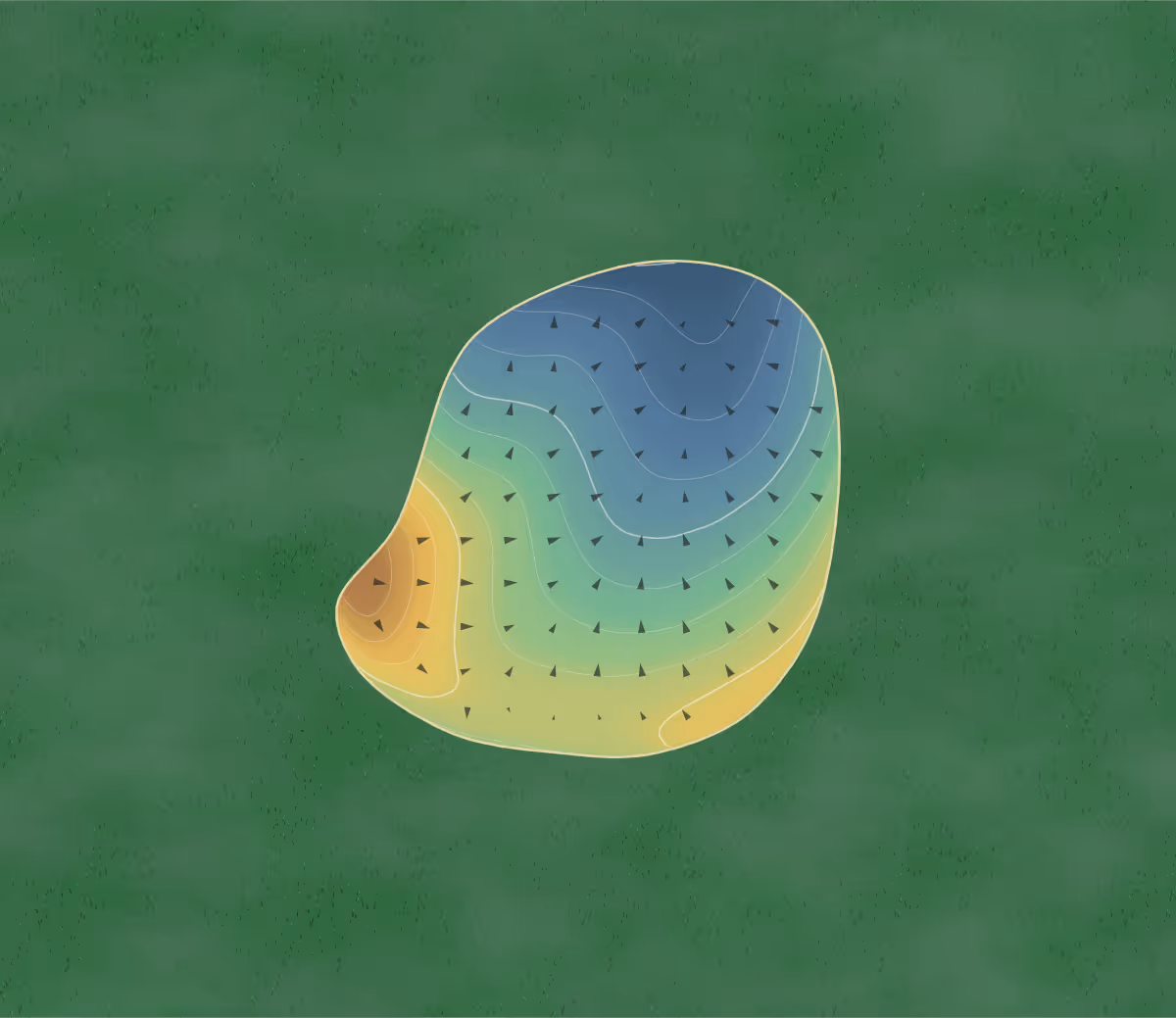 Green contour map of Buncrana GC in Buncrana, Ireland: 12 elevation contours at a 8-centimeter interval with fall-line arrows, traced from 1-meter lidar