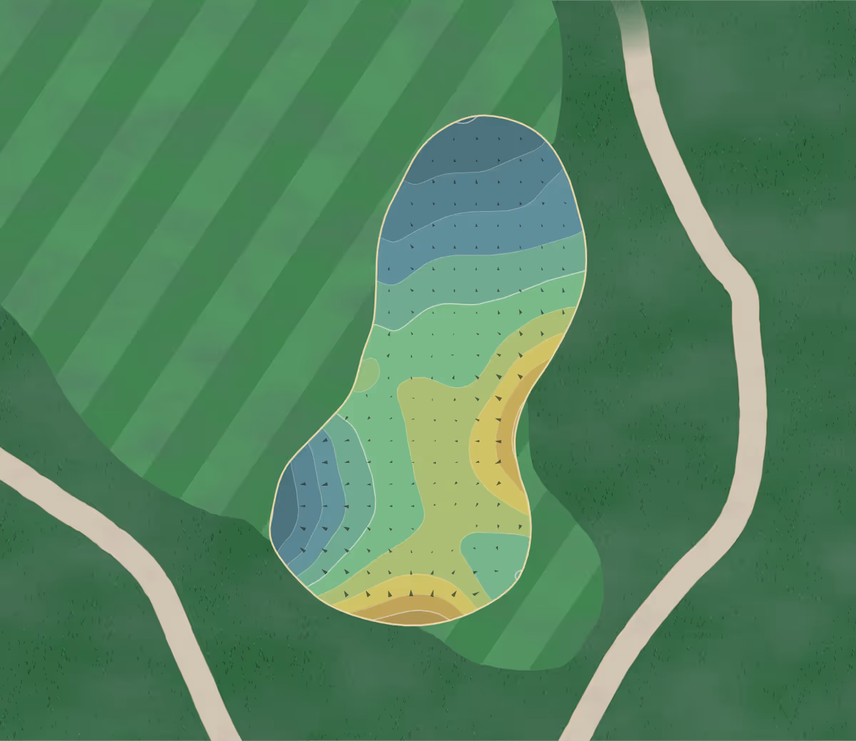 Green contour map of Burl Oaks in Minnesota, United States — 224 elevation contours at a 3-inch interval with fall-line arrows, traced from 1-meter lidar