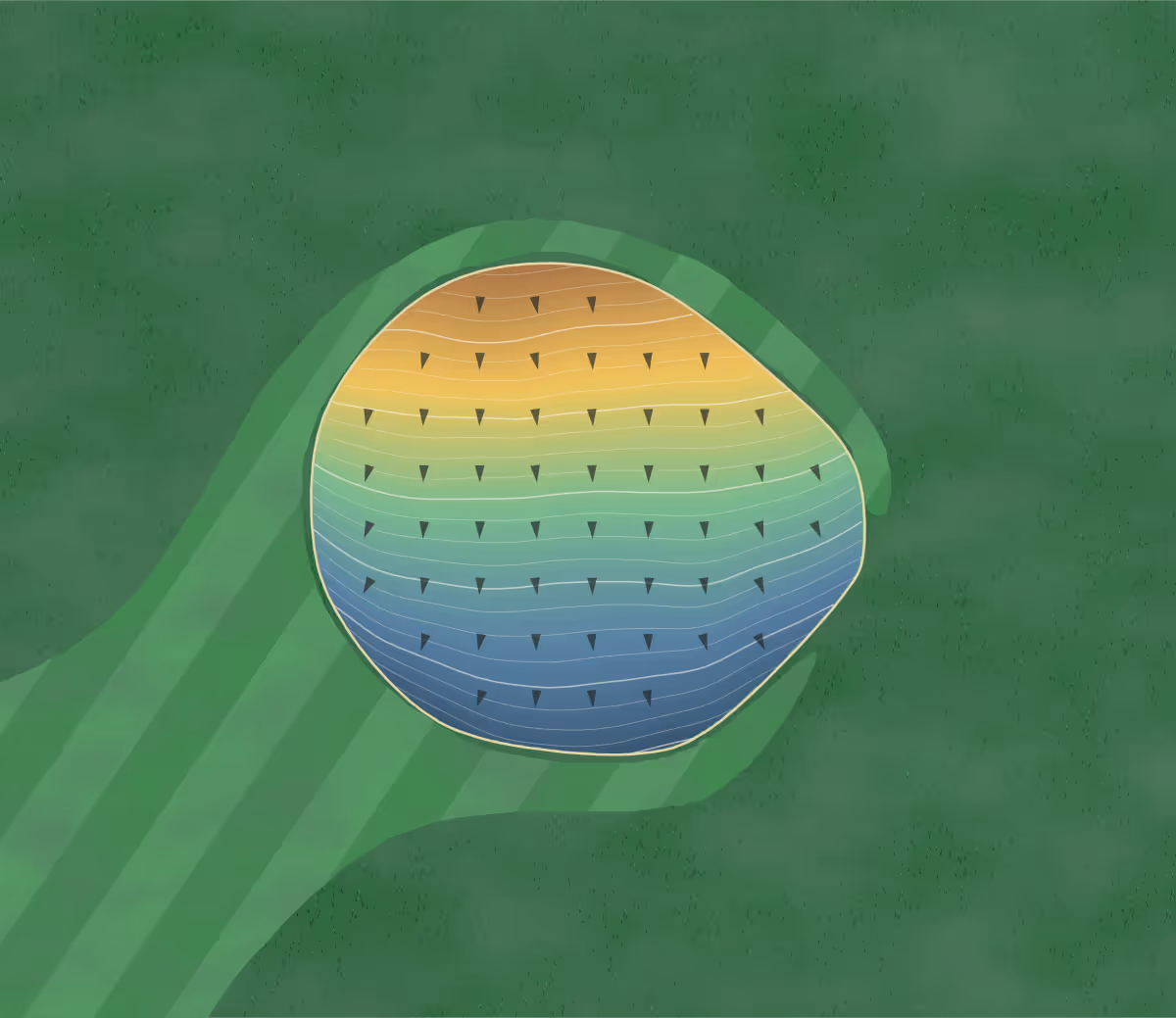 Green contour map of Burnet Park in Syracuse, New York: 51 elevation contours at a 3-inch interval with fall-line arrows, traced from 1-meter lidar