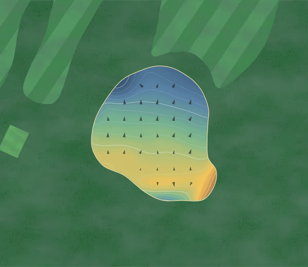 Green contour map of Butler Pitch & Putt in Austin, Texas — 91 elevation contours at a 3-inch interval with fall-line arrows, traced from 1-meter lidar