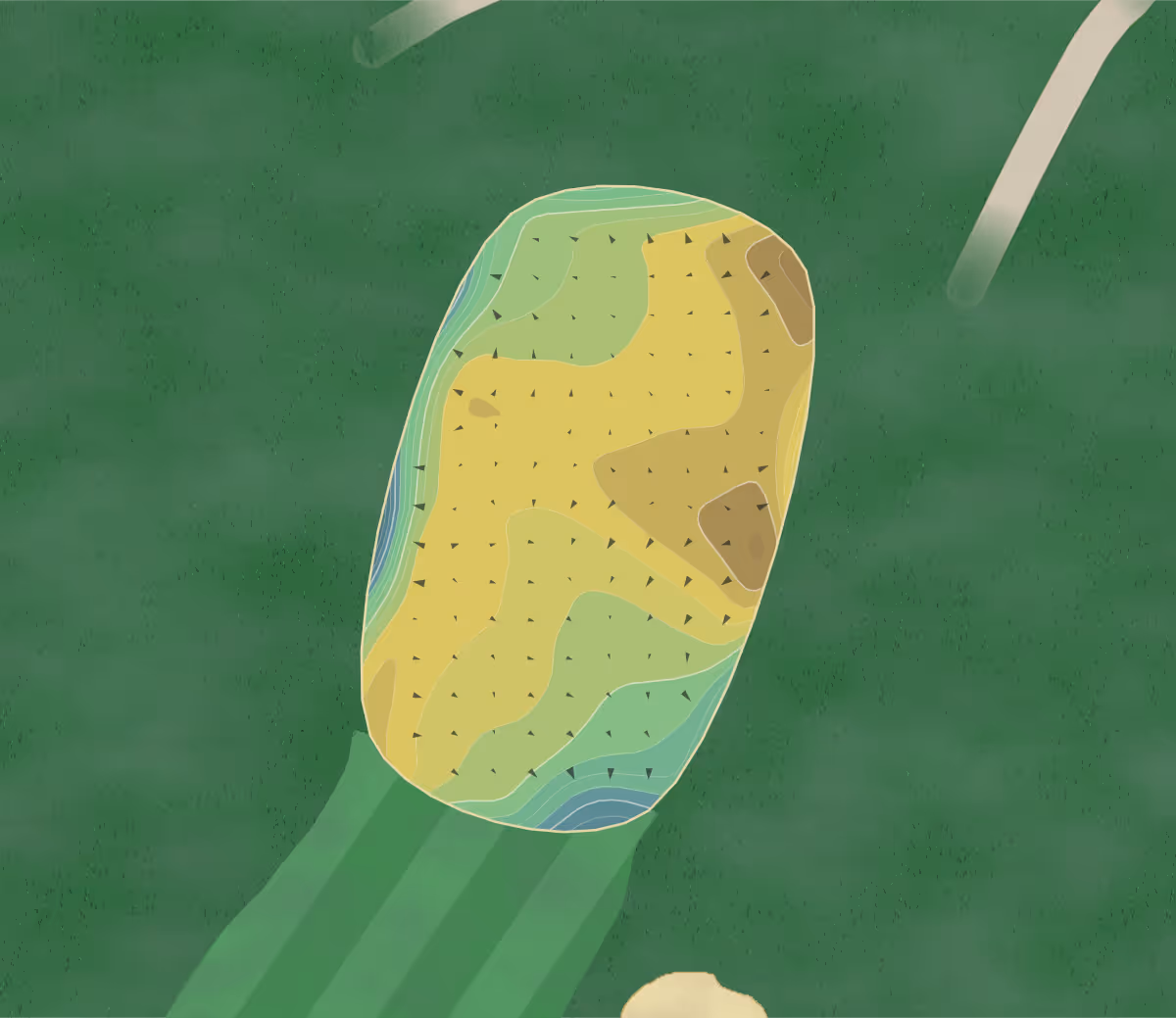 Green contour map of Butterfield in Oak Brook, Illinois — 100 elevation contours at a 3-inch interval with fall-line arrows, traced from 1-meter lidar