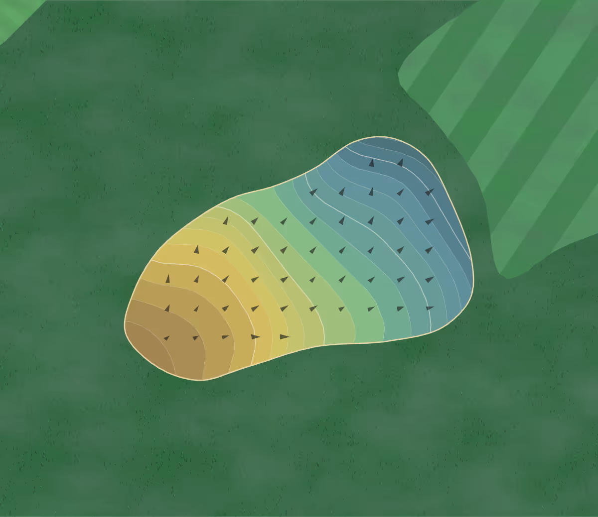 Green contour map of Butternut Creek in Blairsville, Georgia — 171 elevation contours at a 3-inch interval with fall-line arrows, traced from 1-meter lidar