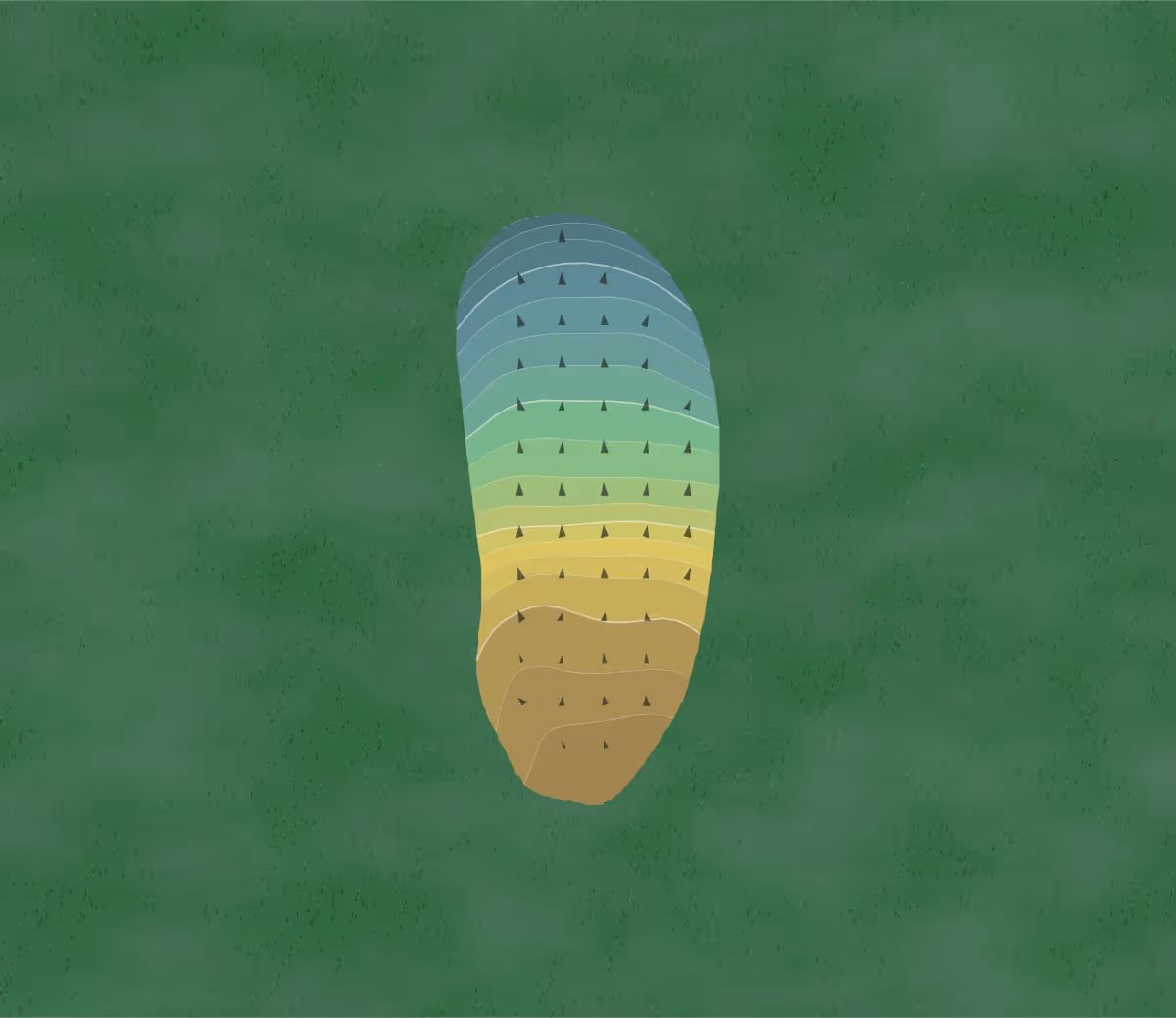 Green contour map of Butternut Hills in Sarona, Wisconsin — 180 elevation contours at a 3-inch interval with fall-line arrows, traced from 1-meter lidar