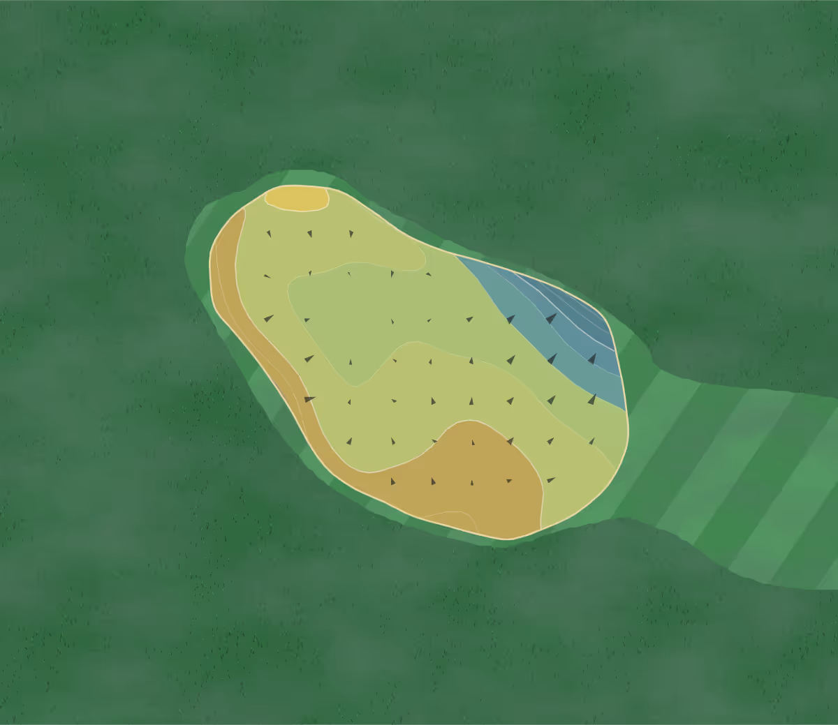 Green contour map of Button Hole in Providence, Rhode Island — 71 elevation contours at a 3-inch interval with fall-line arrows, traced from 1-meter lidar