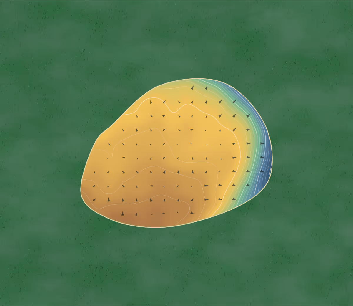 Green contour map of Cahir Park in Cahir, Ireland: 189 elevation contours at a 8-centimeter interval with fall-line arrows, traced from 1-meter lidar