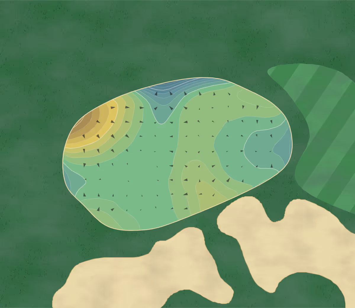 Green contour map of Caledonia Golf in Pawleys Island, South Carolina — 212 elevation contours at a 3-inch interval with fall-line arrows, traced from 1-meter lidar