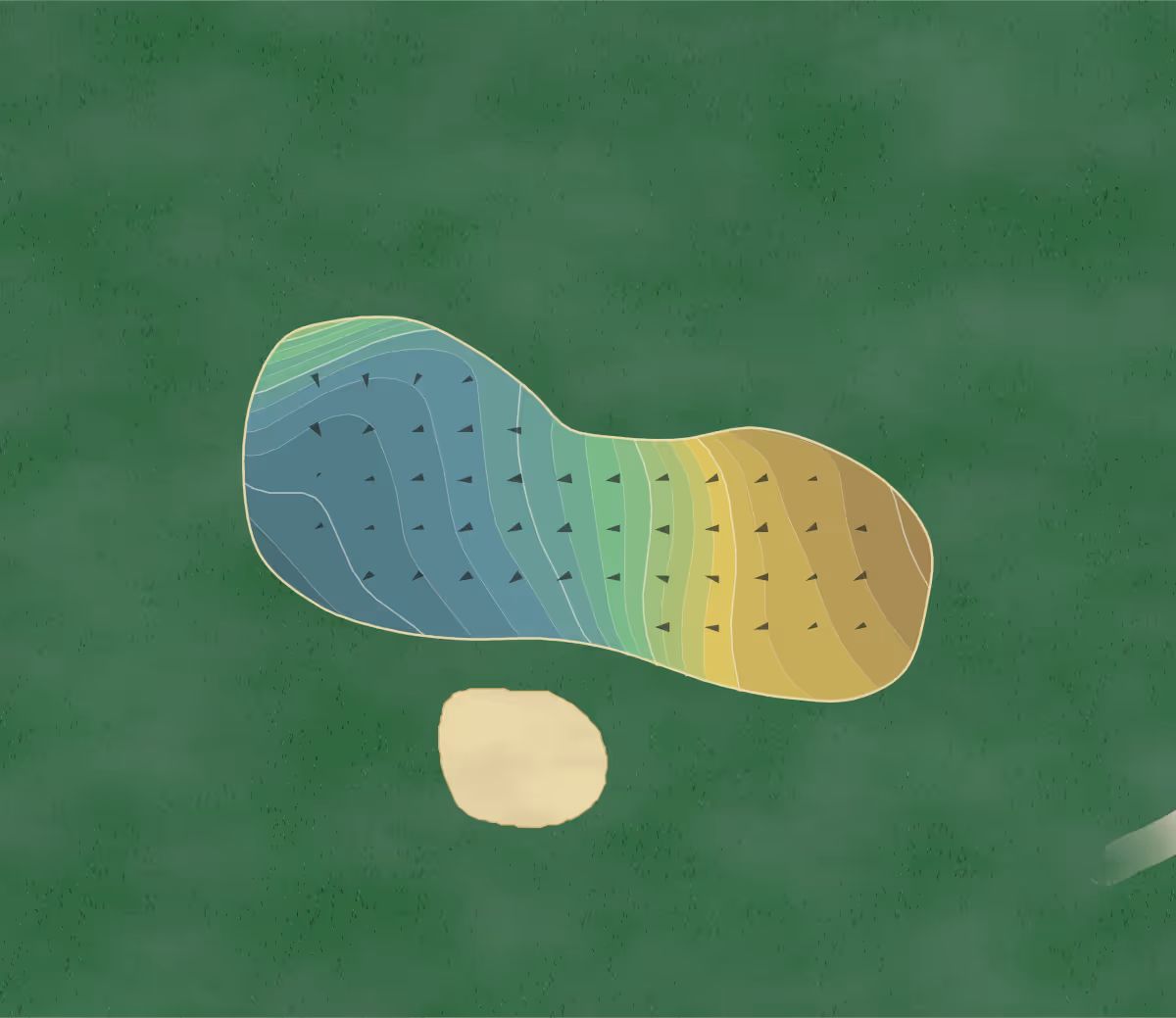 Green contour map of Cannon in Minnesota, United States — 191 elevation contours at a 3-inch interval with fall-line arrows, traced from 1-meter lidar