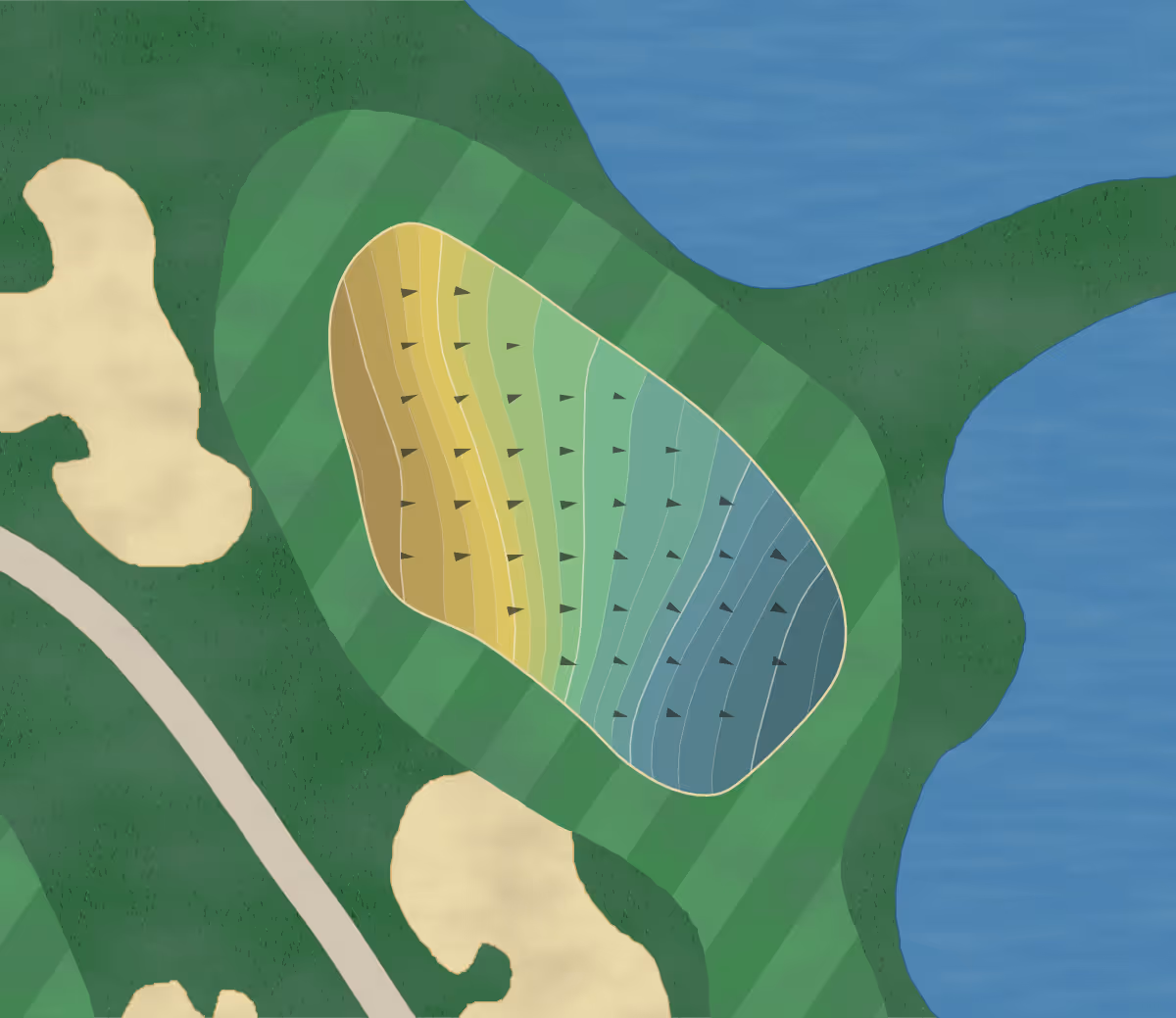 Green contour map of Cannongate 1 in Sharpsburg, Georgia — 329 elevation contours at a 3-inch interval with fall-line arrows, traced from 1-meter lidar