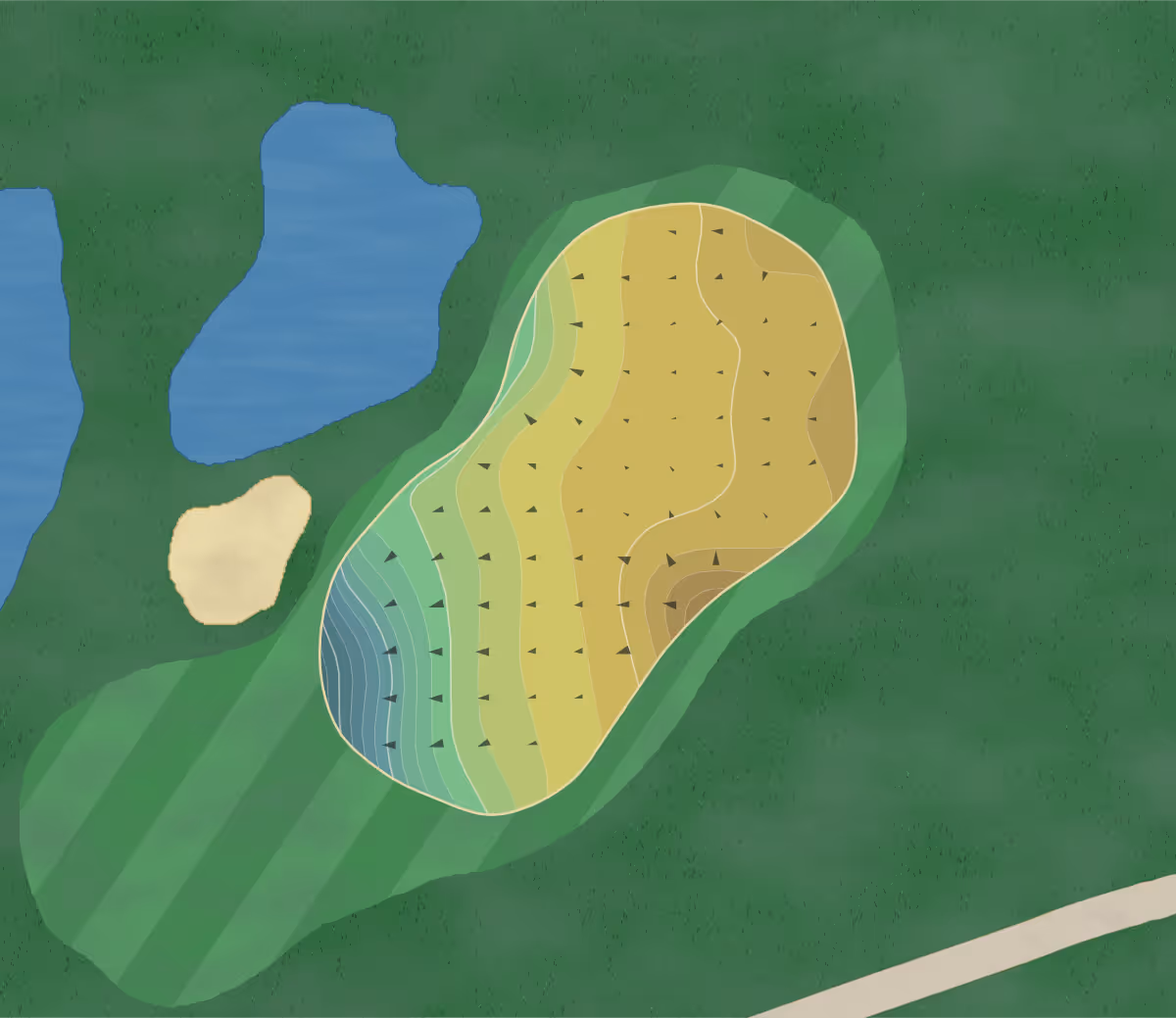 Green contour map of Canyon Course in Flagstaff, Arizona — 210 elevation contours at a 3-inch interval with fall-line arrows, traced from 1-meter lidar