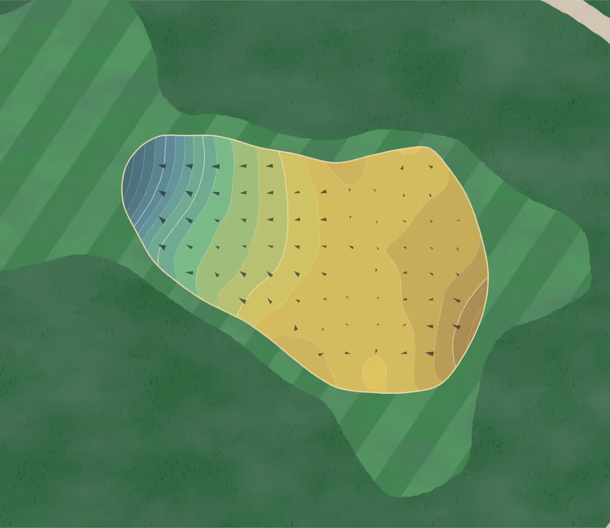 Green contour map of Canyon Farms in Lenexa, Kansas — 242 elevation contours at a 3-inch interval with fall-line arrows, traced from 1-meter lidar