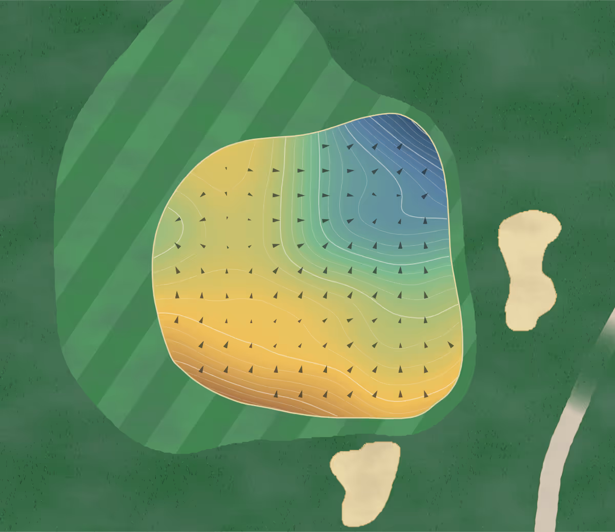 Green contour map of Cape Kidnappers in Te Awanga, New Zealand — 266 elevation contours at a 8-centimeter interval with fall-line arrows, traced from 1-meter lidar