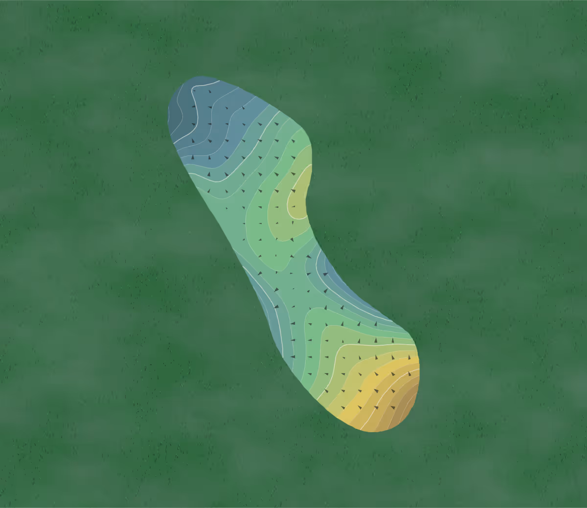Green contour map of Capital City (Brookhaven) in Atlanta, Georgia — 44 elevation contours at a 3-inch interval with fall-line arrows, traced from 1-meter lidar