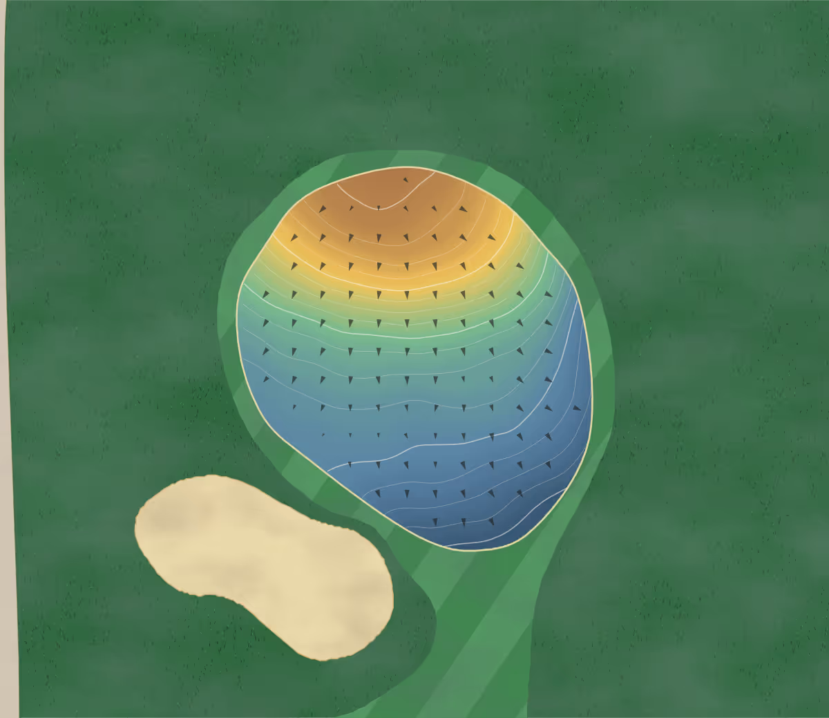 Green contour map of Cardiff Golf & Country in Cardiff, Canada — 164 elevation contours at a 8-centimeter interval with fall-line arrows, traced from 1-meter lidar