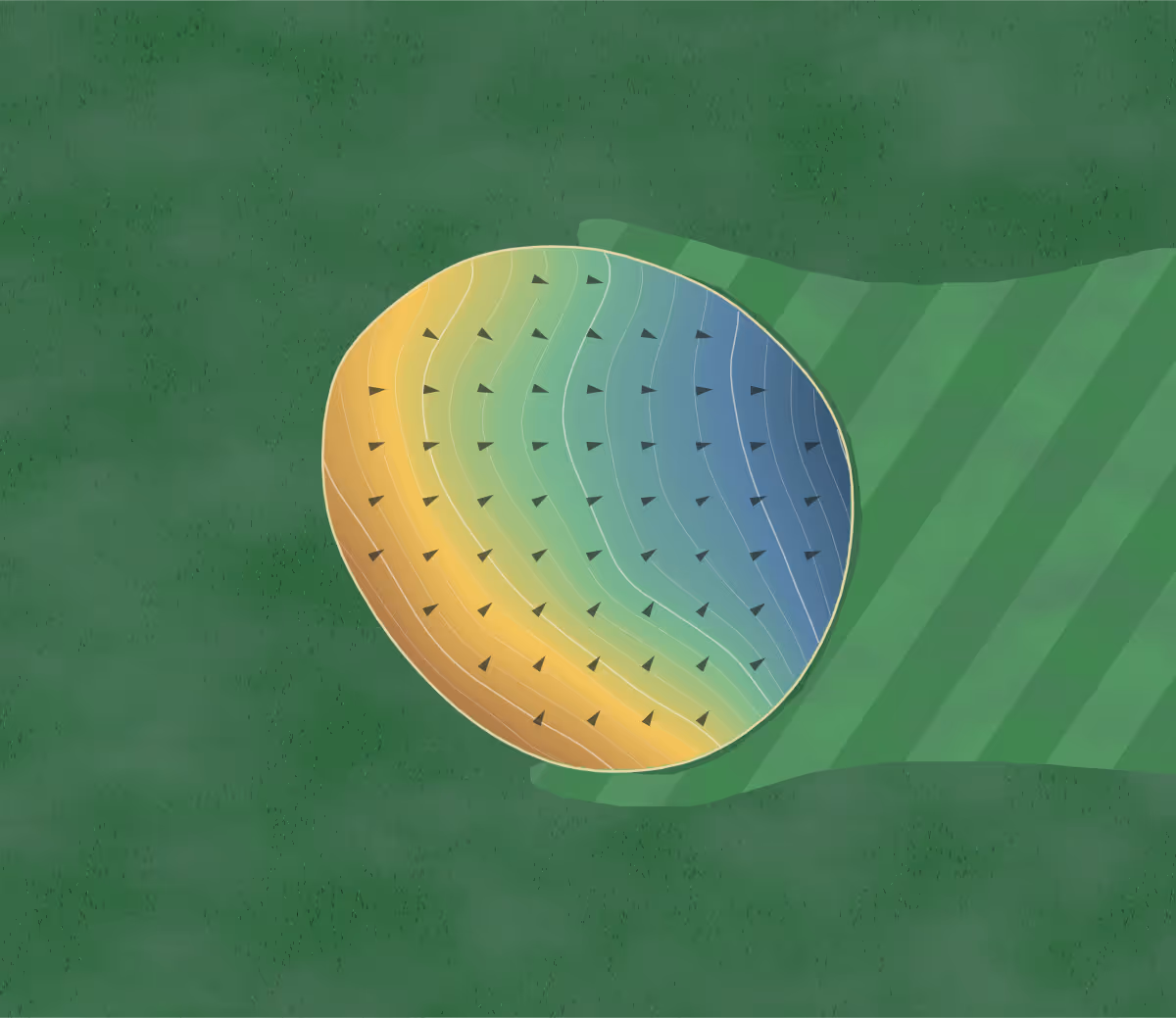 Green contour map of Cardinal Hills in Selma, Indiana: 205 elevation contours at a 3-inch interval with fall-line arrows, traced from 1-meter lidar