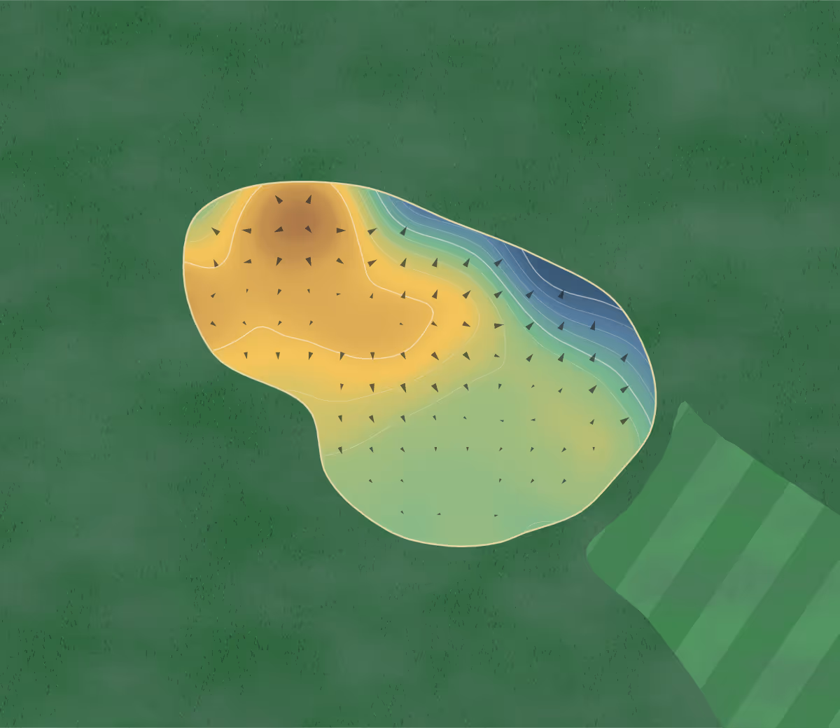 Green contour map of Carholme in Lincoln, England: 116 elevation contours at a 8-centimeter interval with fall-line arrows, traced from 1-meter lidar
