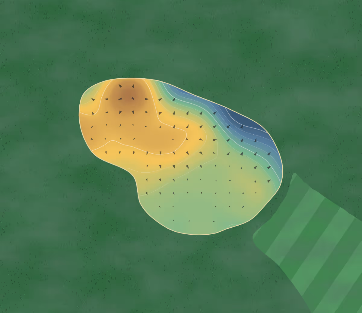 Green contour map of Carholme in Lincoln, England — 116 elevation contours at a 8-centimeter interval with fall-line arrows, traced from 1-meter lidar