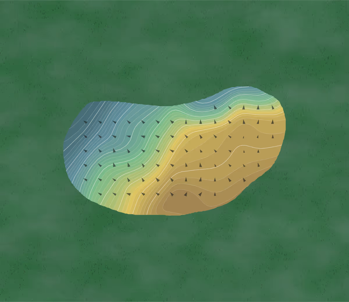 Green contour map of Carmel in Charlotte, North Carolina — 436 elevation contours at a 3-inch interval with fall-line arrows, traced from 1-meter lidar