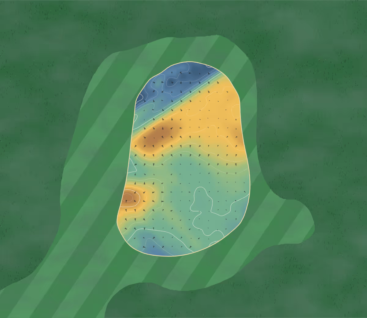 Green contour map of Carnegie in Dornoch, Scotland: 202 elevation contours at a 8-centimeter interval with fall-line arrows, traced from 1-meter lidar