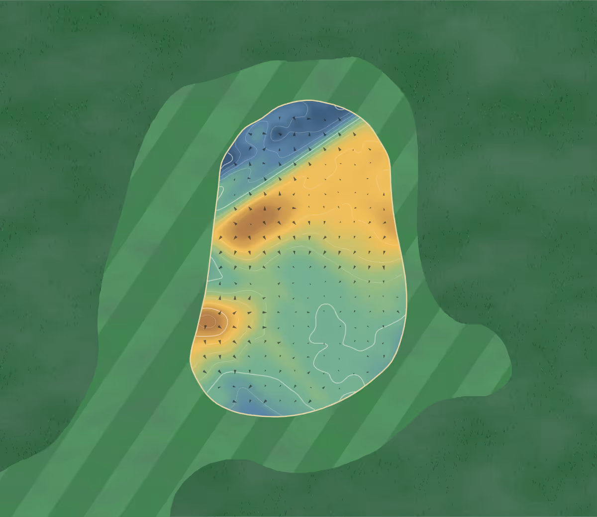 Green contour map of Carnegie in Dornoch, Scotland — 202 elevation contours at a 8-centimeter interval with fall-line arrows, traced from 1-meter lidar