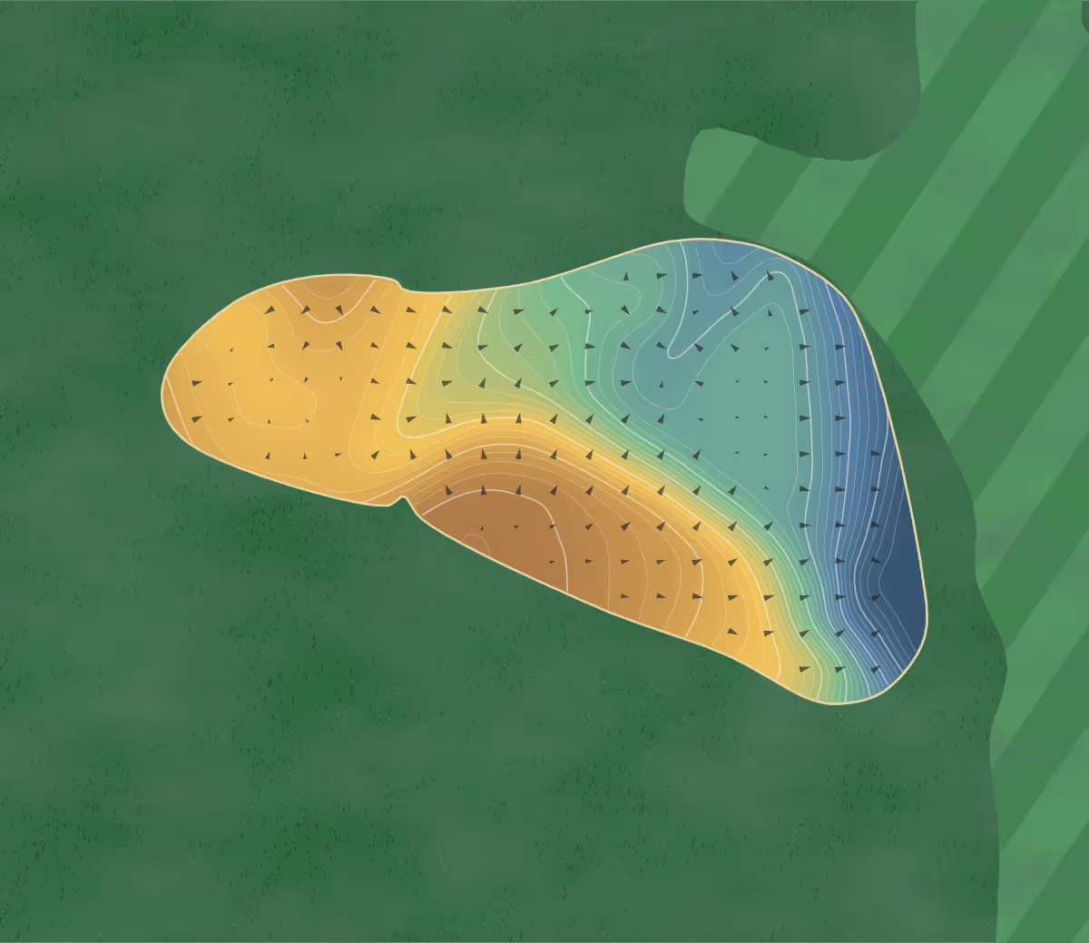 Green contour map of Carolina Lakes in Sumter, South Carolina: 320 elevation contours at a 3-inch interval with fall-line arrows, traced from 1-meter lidar