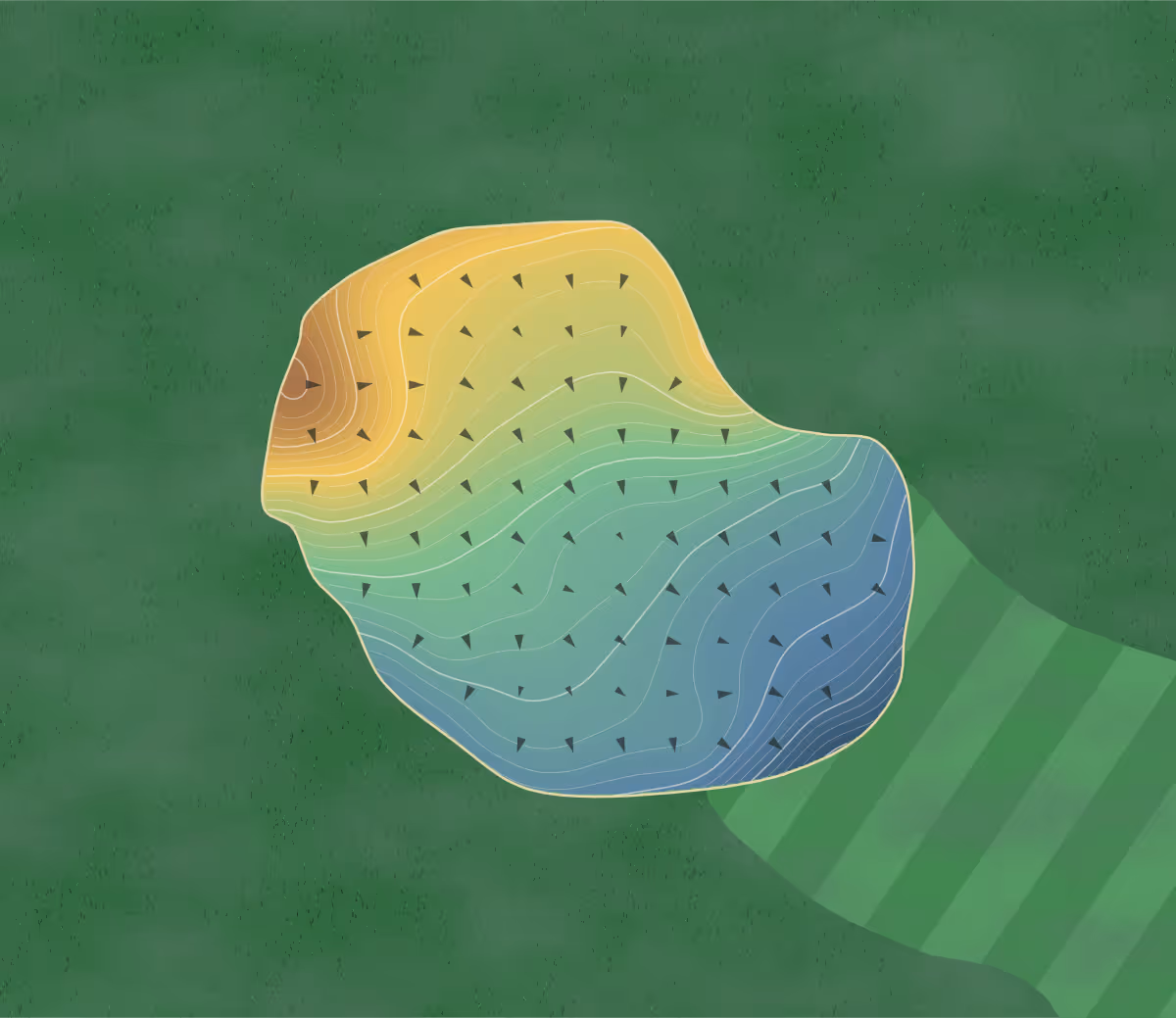 Green contour map of Carolina Lakes in Sanford, North Carolina: 374 elevation contours at a 3-inch interval with fall-line arrows, traced from 1-meter lidar