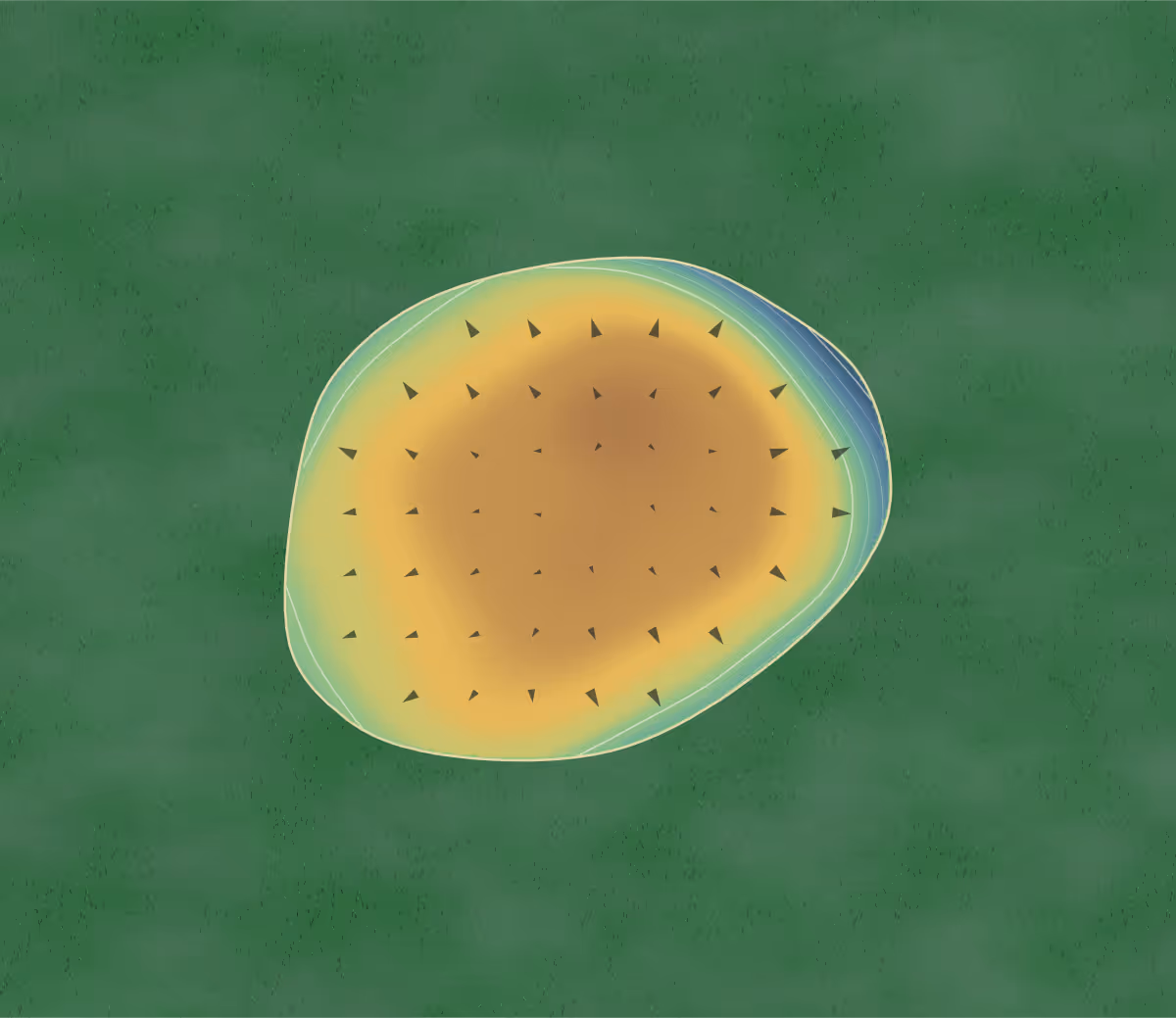 Green contour map of Carolina Plantation in Lumberton, North Carolina: 55 elevation contours at a 3-inch interval with fall-line arrows, traced from 1-meter lidar