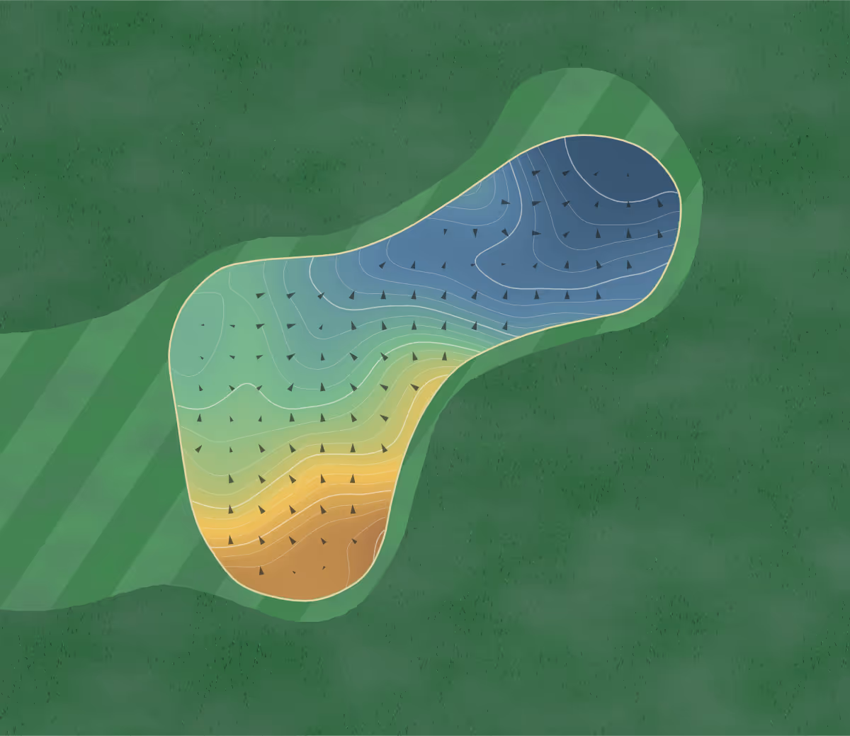 Green contour map of Carrington Estate in Karikari Peninsula, New Zealand — 274 elevation contours at a 8-centimeter interval with fall-line arrows, traced from 1-meter lidar