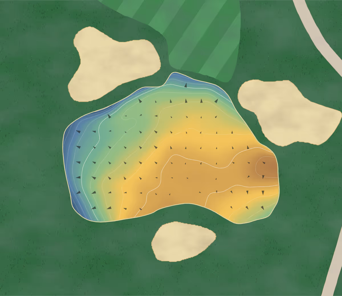 Green contour map of Carrollwood in Tampa, Florida — 70 elevation contours at a 3-inch interval with fall-line arrows, traced from 1-meter lidar