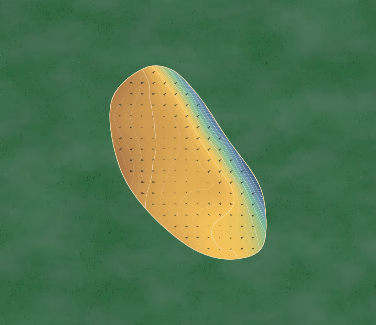 Green contour map of Carton House in Maynooth, Ireland: 261 elevation contours at a 8-centimeter interval with fall-line arrows, traced from 1-meter lidar