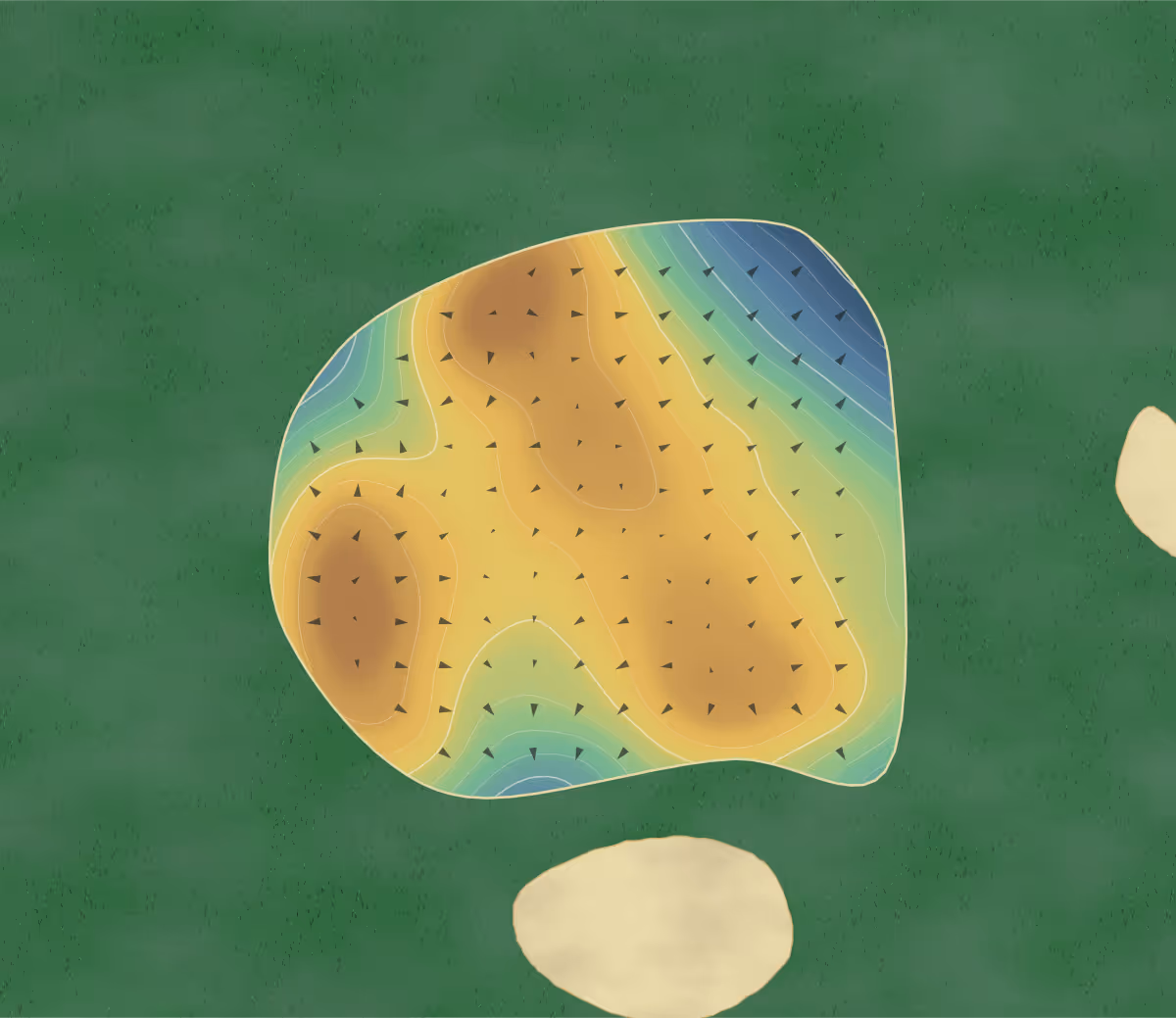 Green contour map of Casselview in Casselman, Canada — 153 elevation contours at a 8-centimeter interval with fall-line arrows, traced from 1-meter lidar