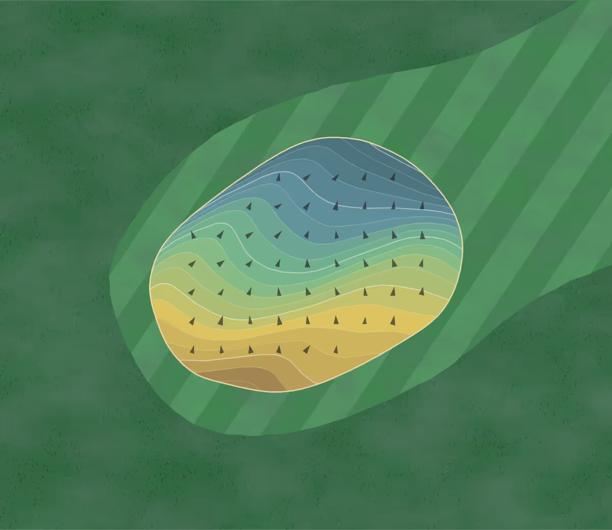 Green contour map of Castine GC in Castine, Maine — 114 elevation contours at a 3-inch interval with fall-line arrows, traced from 1-meter lidar