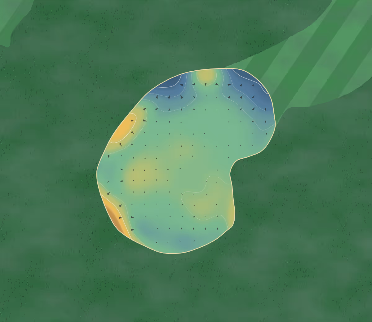 Green contour map of Castle Point in Canvey Island, England: 123 elevation contours at a 8-centimeter interval with fall-line arrows, traced from 1-meter lidar