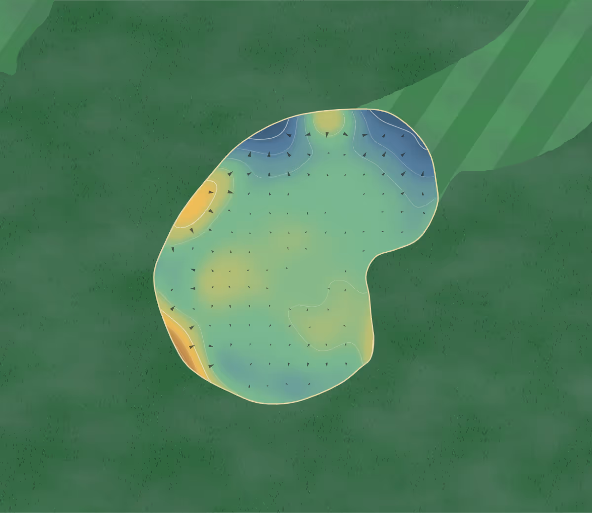 Green contour map of Castle Point in Canvey Island, England — 123 elevation contours at a 8-centimeter interval with fall-line arrows, traced from 1-meter lidar