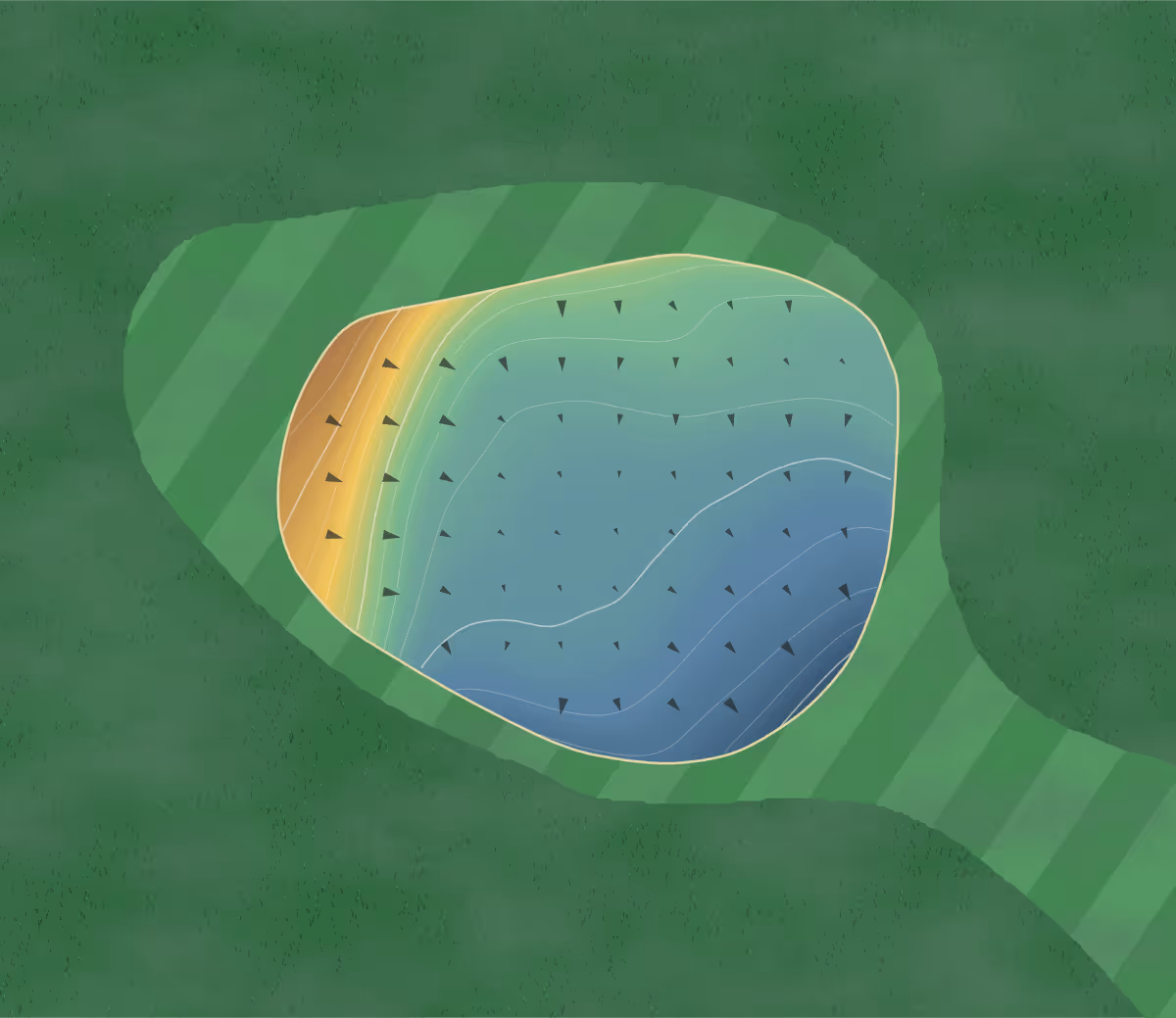 Green contour map of Castlecliff in Whanganui, New Zealand — 142 elevation contours at a 8-centimeter interval with fall-line arrows, traced from 1-meter lidar