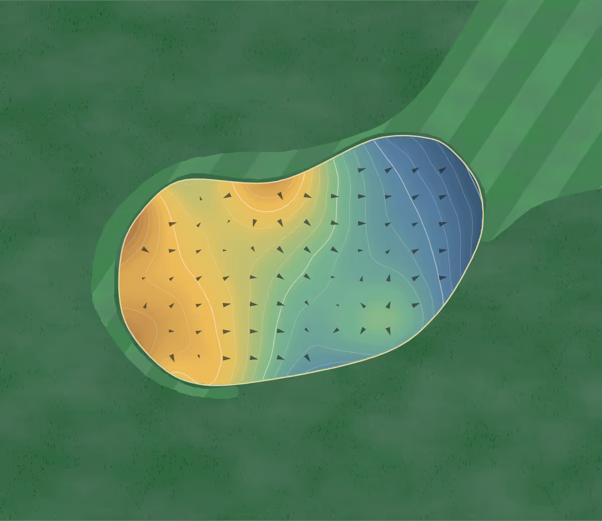 Green contour map of Caswell Pines in Yanceyville, North Carolina: 286 elevation contours at a 3-inch interval with fall-line arrows, traced from 1-meter lidar