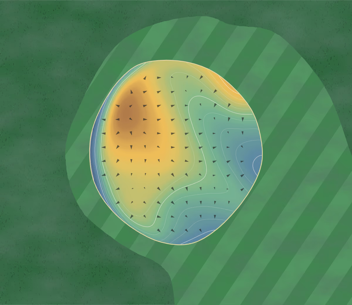 Green contour map of Cateechee in Hartwell, Georgia: 236 elevation contours at a 3-inch interval with fall-line arrows, traced from 1-meter lidar