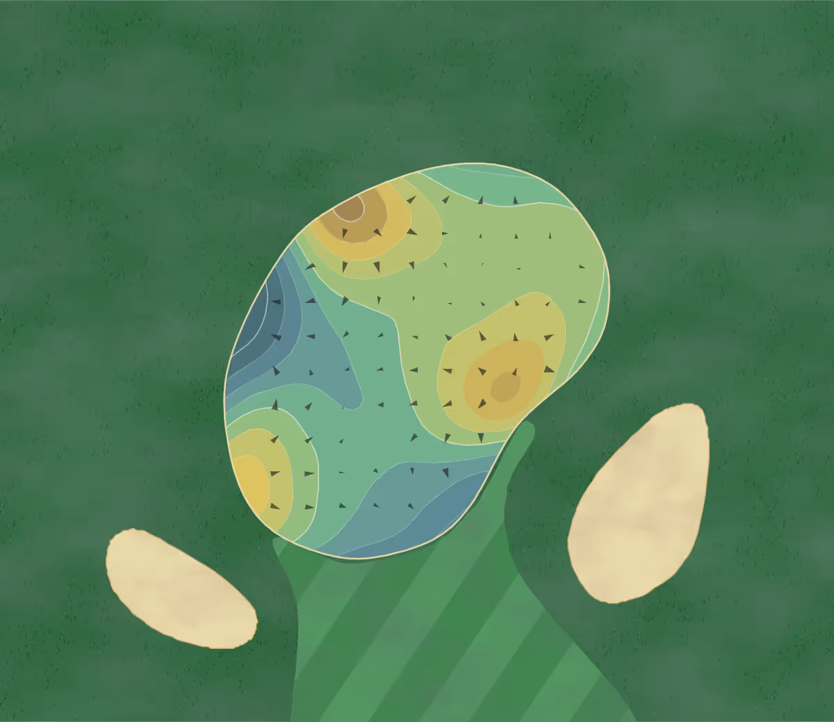 Green contour map of Cazenovia Country Club in Cazenovia, New York — 202 elevation contours at a 3-inch interval with fall-line arrows, traced from 1-meter lidar