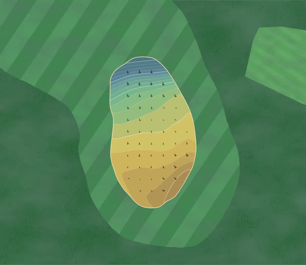 Green contour map of Cazenovia GC in Buffalo, New York — 87 elevation contours at a 3-inch interval with fall-line arrows, traced from 1-meter lidar