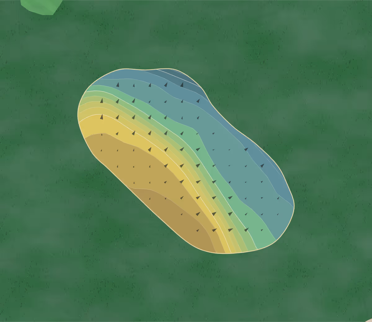 Green contour map of CC Lexington in Lexington, South Carolina — 162 elevation contours at a 3-inch interval with fall-line arrows, traced from 1-meter lidar