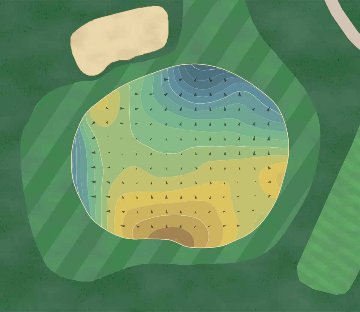 Green contour map of CC Salisbury in Salisbury, North Carolina — 366 elevation contours at a 3-inch interval with fall-line arrows, traced from 1-meter lidar