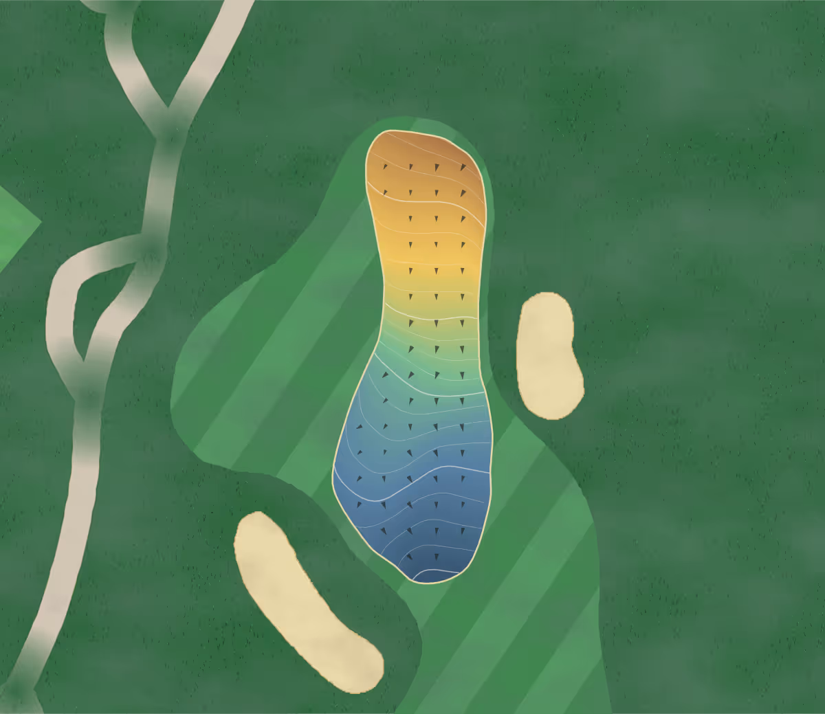 Green contour map of Cedar Brae in Toronto, Canada — 202 elevation contours at a 8-centimeter interval with fall-line arrows, traced from 1-meter lidar