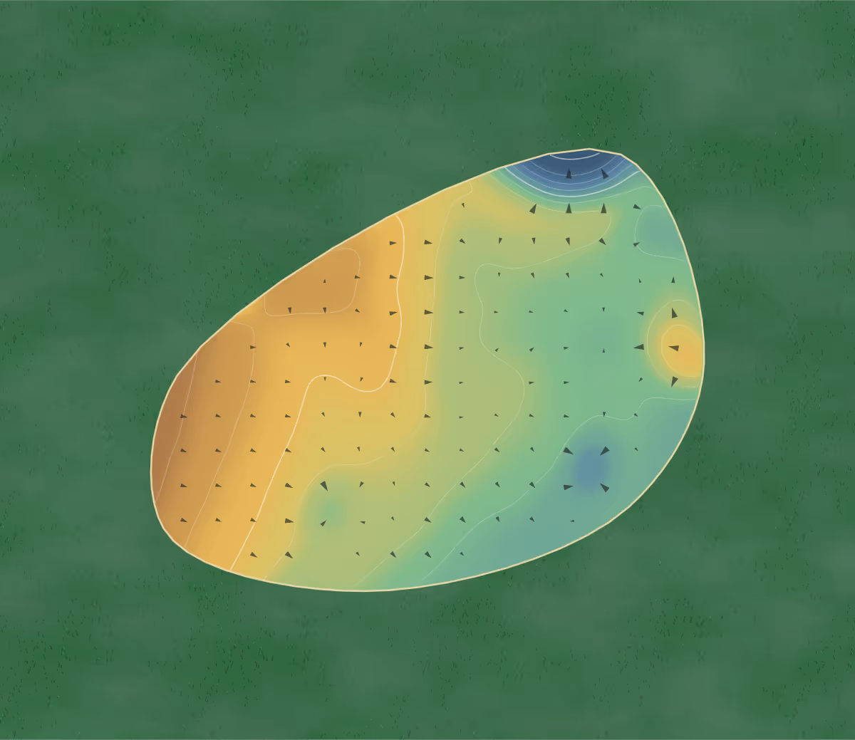 Green contour map of Cedar Creek in Aiken, South Carolina: 11 elevation contours at a 3-inch interval with fall-line arrows, traced from 1-meter lidar