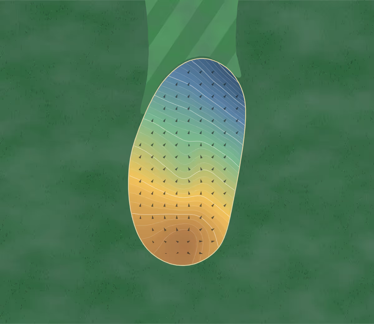 Green contour map of Cedar Creek in Leo, Indiana: 282 elevation contours at a 3-inch interval with fall-line arrows, traced from 1-meter lidar