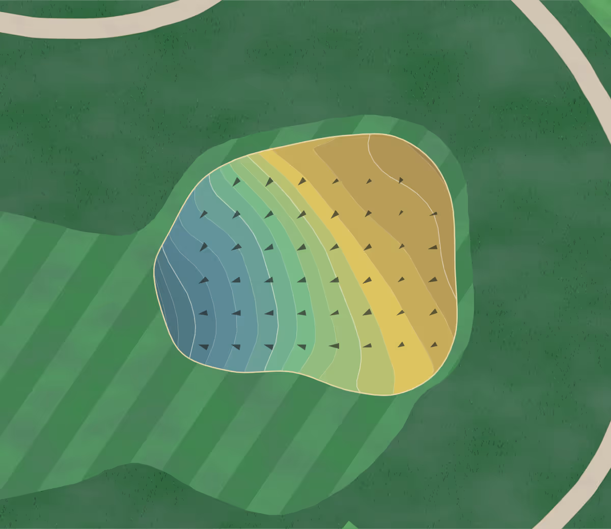 Green contour map of Cedar Crest in Dallas, Texas — 195 elevation contours at a 3-inch interval with fall-line arrows, traced from 1-meter lidar
