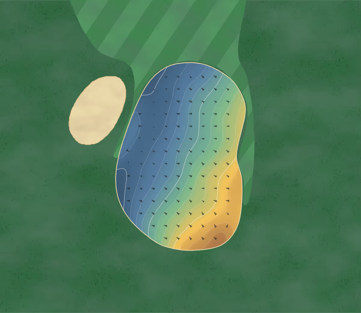 Green contour map of Cedar Glen in Perth, Canada: 64 elevation contours at a 8-centimeter interval with fall-line arrows, traced from 1-meter lidar