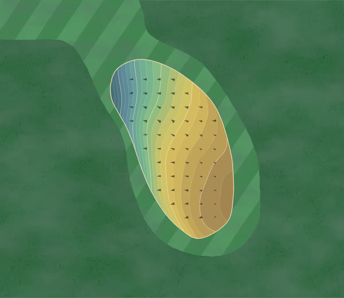Green contour map of Cedar Lake in Loganville, Georgia — 219 elevation contours at a 3-inch interval with fall-line arrows, traced from 1-meter lidar