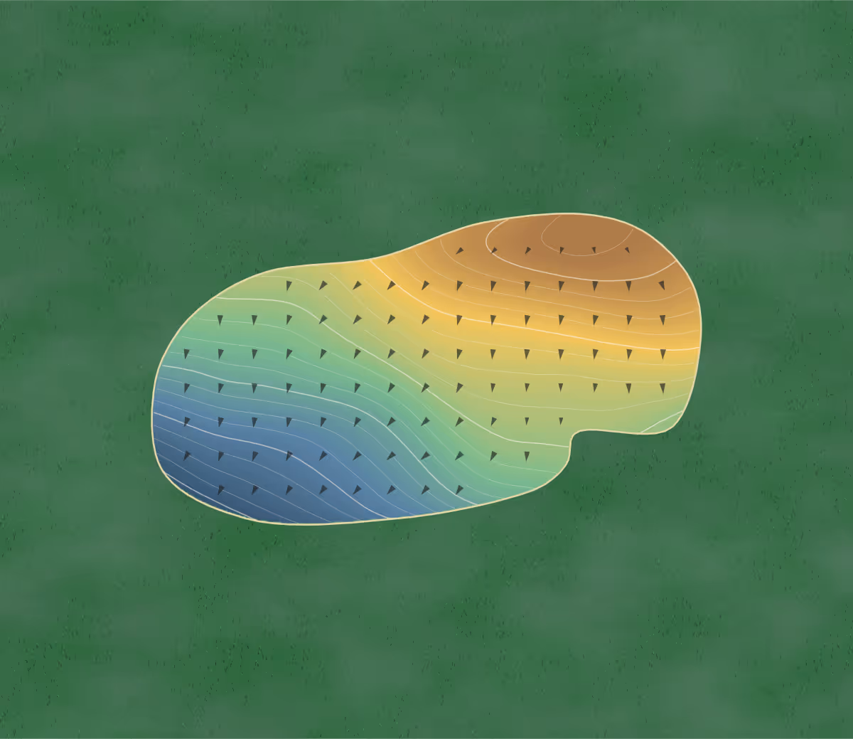 Green contour map of Cedar Rock in Lenoir, North Carolina: 213 elevation contours at a 3-inch interval with fall-line arrows, traced from 1-meter lidar