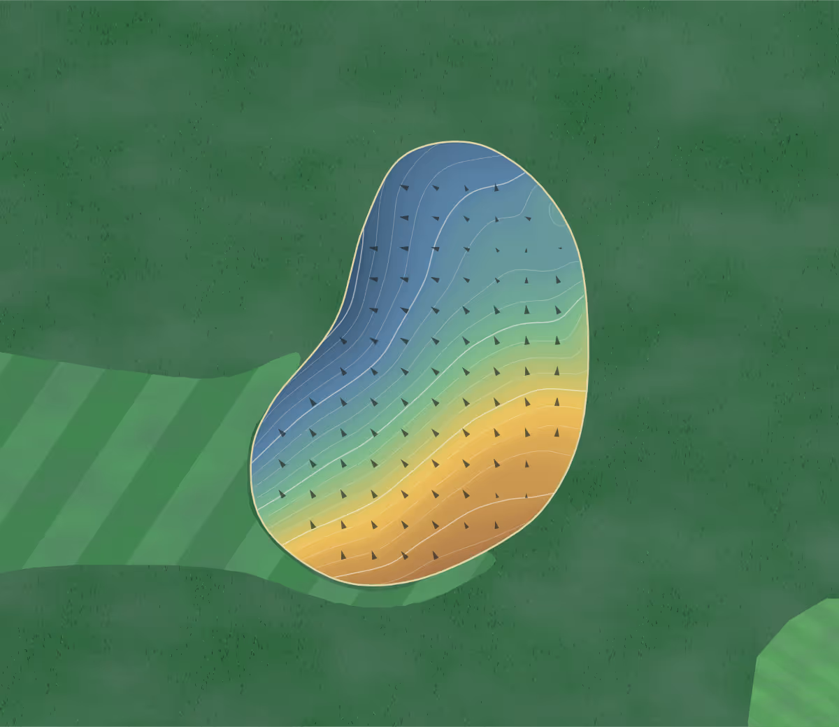 Green contour map of Cedar Trace in Florence, Kentucky: 181 elevation contours at a 3-inch interval with fall-line arrows, traced from 1-meter lidar