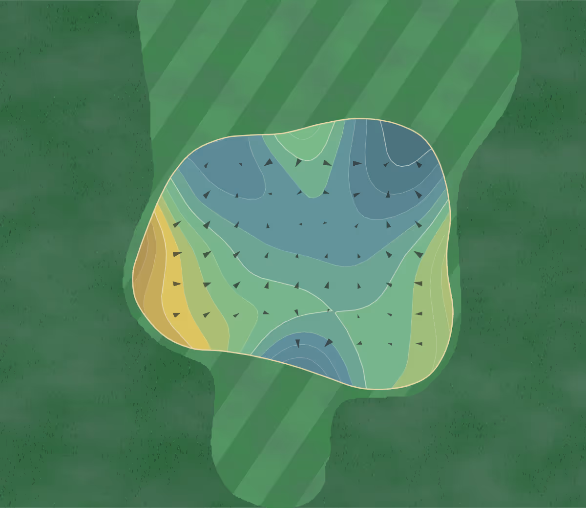 Green contour map of Celebration in Celebration, Florida — 219 elevation contours at a 3-inch interval with fall-line arrows, traced from 1-meter lidar